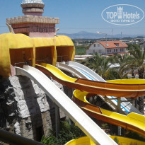 фото из отзыва ID 1575743