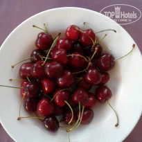 фото из отзыва ID 1575743