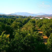 фото из отзыва ID 1575823