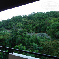 фото из отзыва ID 1575931