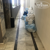 фото из отзыва ID 1576037