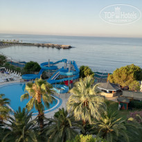 фото из отзыва ID 1576085