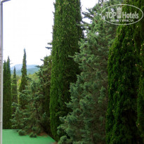 фото из отзыва ID 1576128