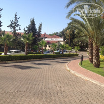 фото из отзыва ID 1576266