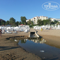 фото из отзыва ID 1575365