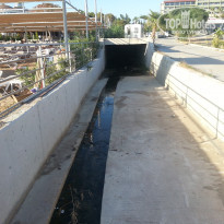 фото из отзыва ID 1575365