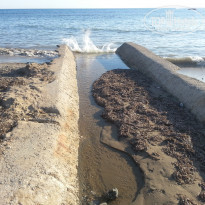 фото из отзыва ID 1575365