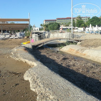 фото из отзыва ID 1575365