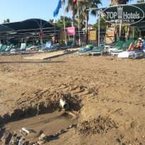 фото из отзыва ID 1575365