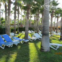 фото из отзыва ID 1575365