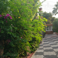 фото из отзыва ID 1576602