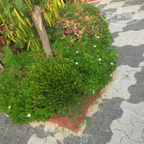 фото из отзыва ID 1576602