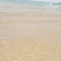 фото из отзыва ID 1576687