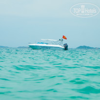 фото из отзыва ID 1576682