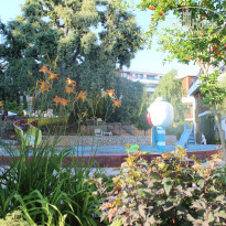 фото из отзыва ID 1576754