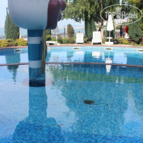 фото из отзыва ID 1576754