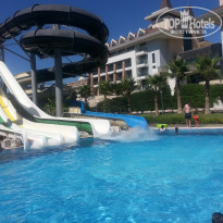 фото из отзыва ID 1576956