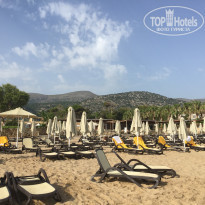 фото из отзыва ID 1574426