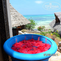 фото из отзыва ID 1577001