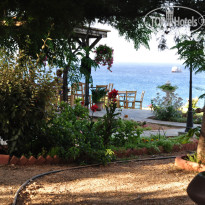 фото из отзыва ID 1577095