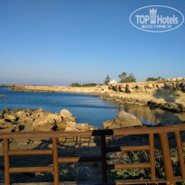 фото из отзыва ID 1577095