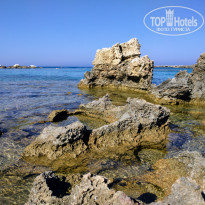 фото из отзыва ID 1577095