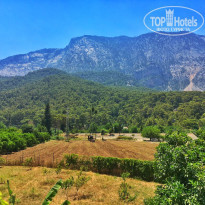 фото из отзыва ID 1577102