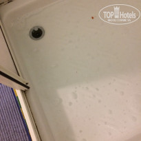 фото из отзыва ID 1577104