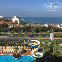 фото из отзыва ID 1577202