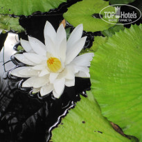 фото из отзыва ID 1577560