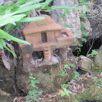 фото из отзыва ID 1577560