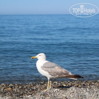 фото из отзыва ID 1577593