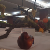 фото из отзыва ID 1577593