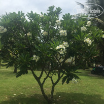 фото из отзыва ID 1577654