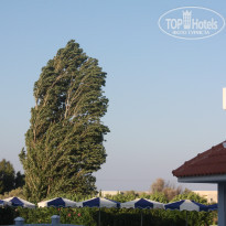 фото из отзыва ID 1577733