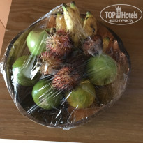 фото из отзыва ID 1577744