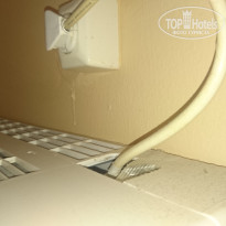 фото из отзыва ID 1577748