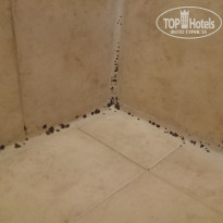 фото из отзыва ID 1577748