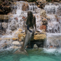 фото из отзыва ID 1577751