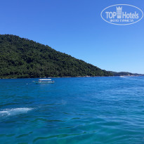 фото из отзыва ID 1577765