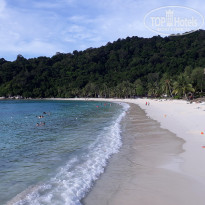 фото из отзыва ID 1577765