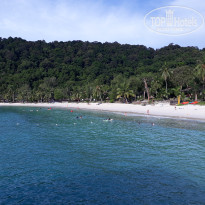 фото из отзыва ID 1577765