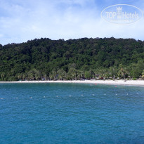 фото из отзыва ID 1577765