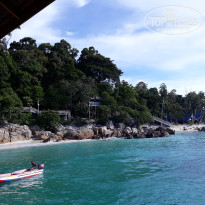 фото из отзыва ID 1577765