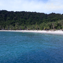 фото из отзыва ID 1577765