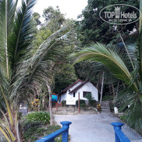 фото из отзыва ID 1577765