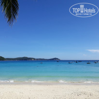 фото из отзыва ID 1577765