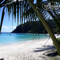 фото из отзыва ID 1577765