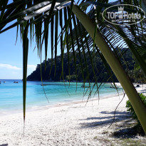 фото из отзыва ID 1577765