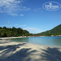 фото из отзыва ID 1577765